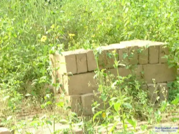 Graphic Photo: Ritualist Beheads 4-Year-Old Boy In Osun State